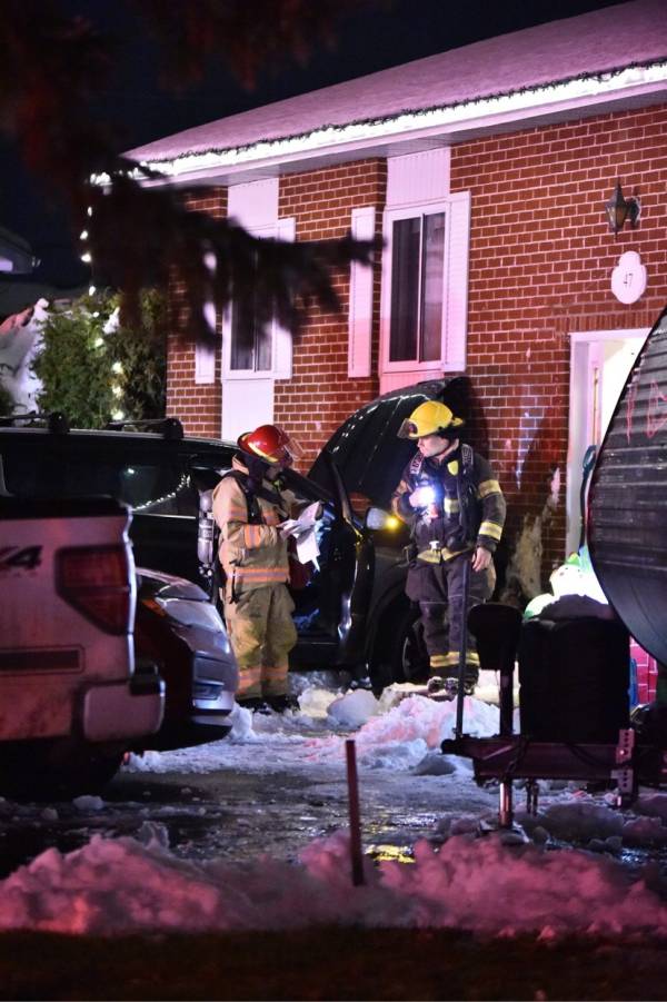 C’est la danse du petit rêne!