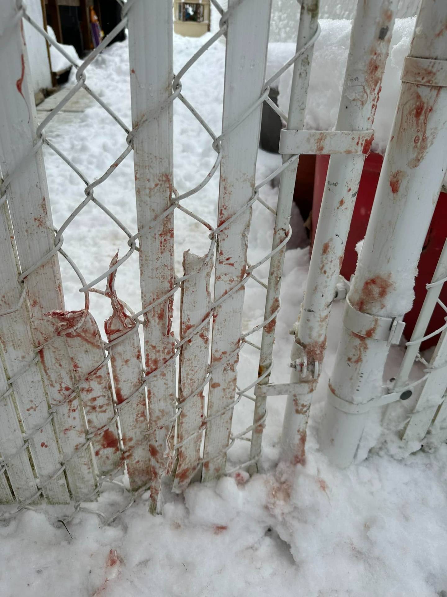 Image illustrant l'article