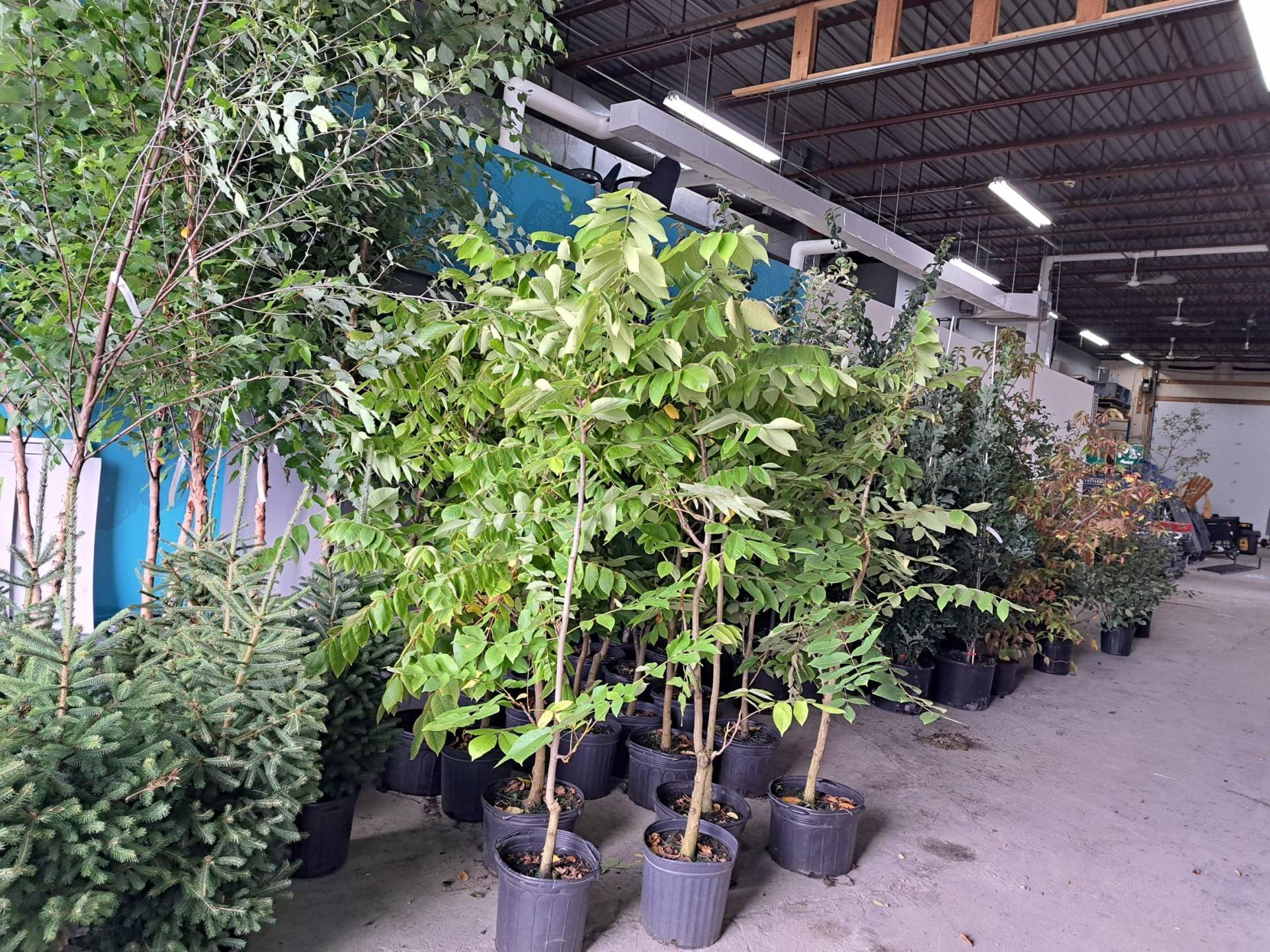 Le meilleur truc pour imperméabiliser vos bottes et souliers