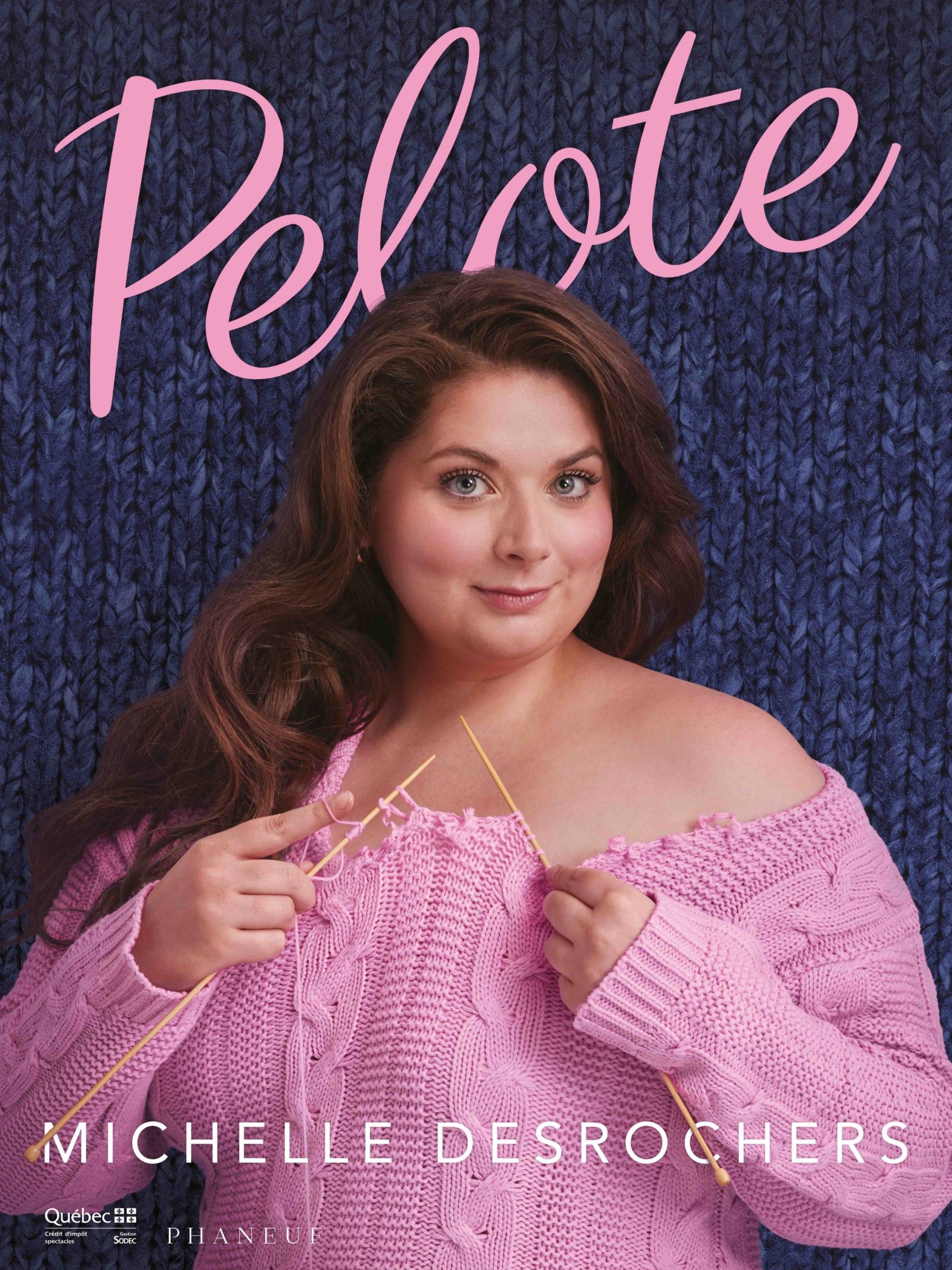 IPTV illégal: deux services populaires démenteler par la SQ