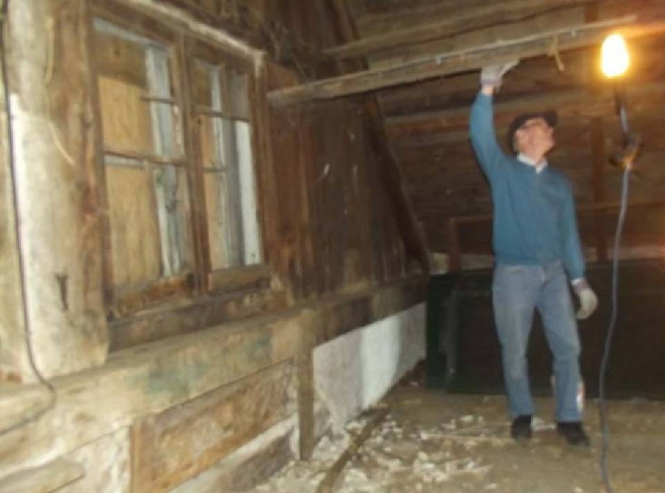 Juste une petite promenade avec mon oie