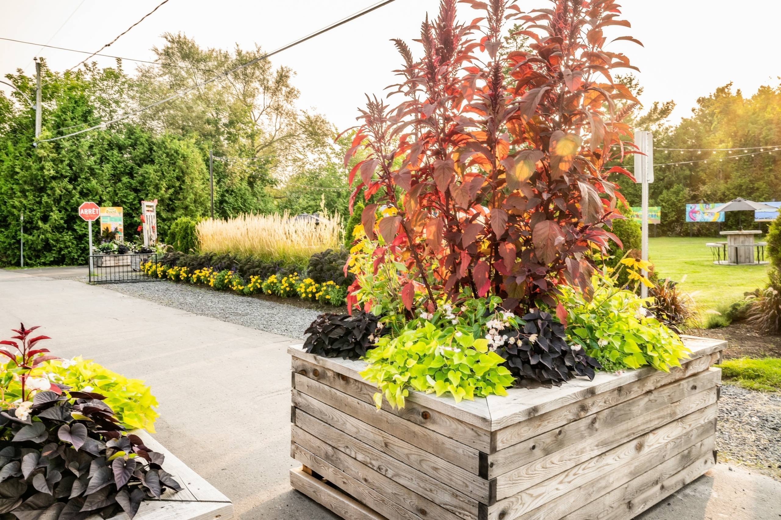 7 idées de rénovation éco-responsable pour votre maison