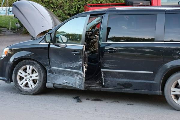 Un chien adore nager dans la mer