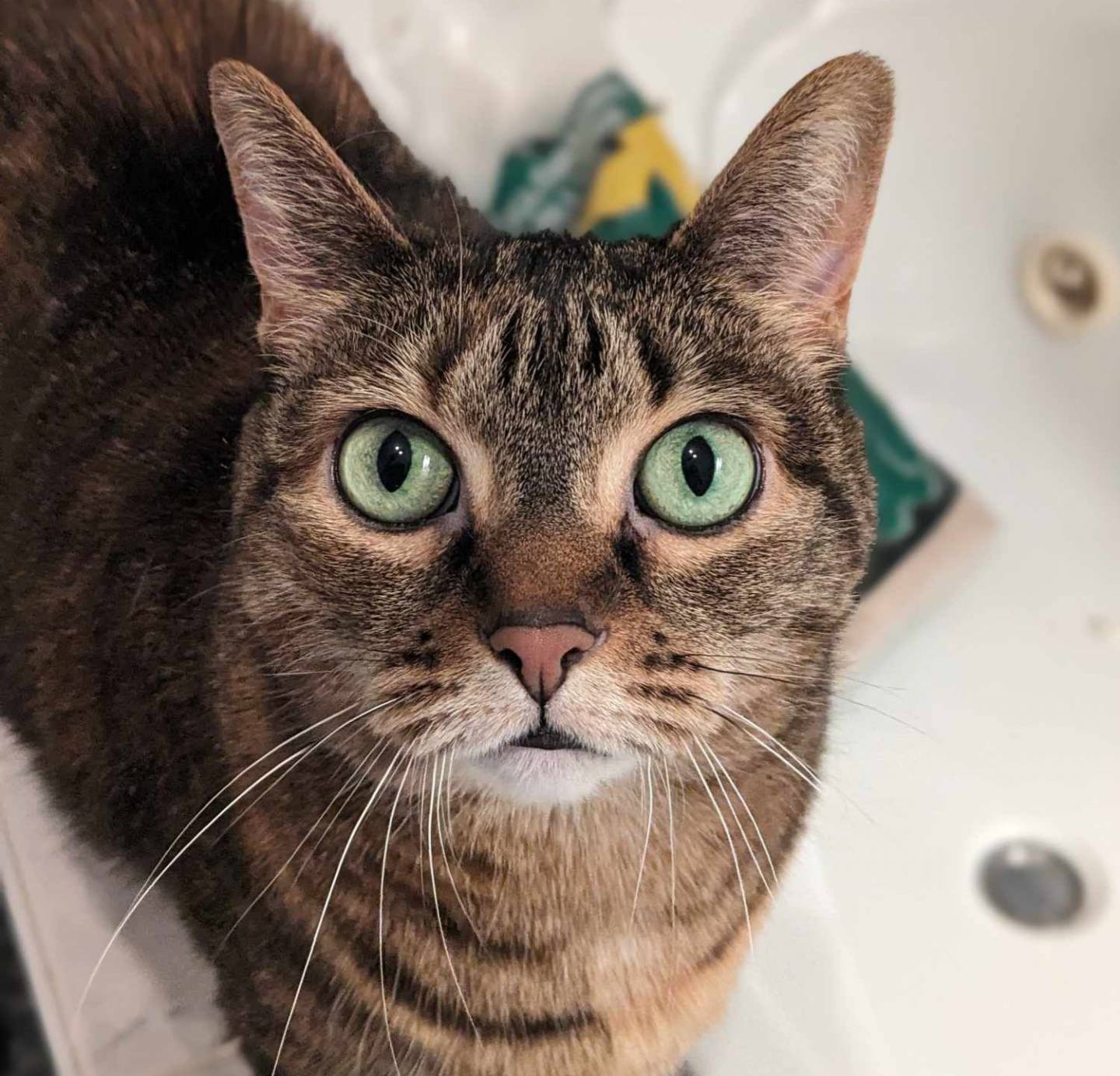 Image illustrant l'article