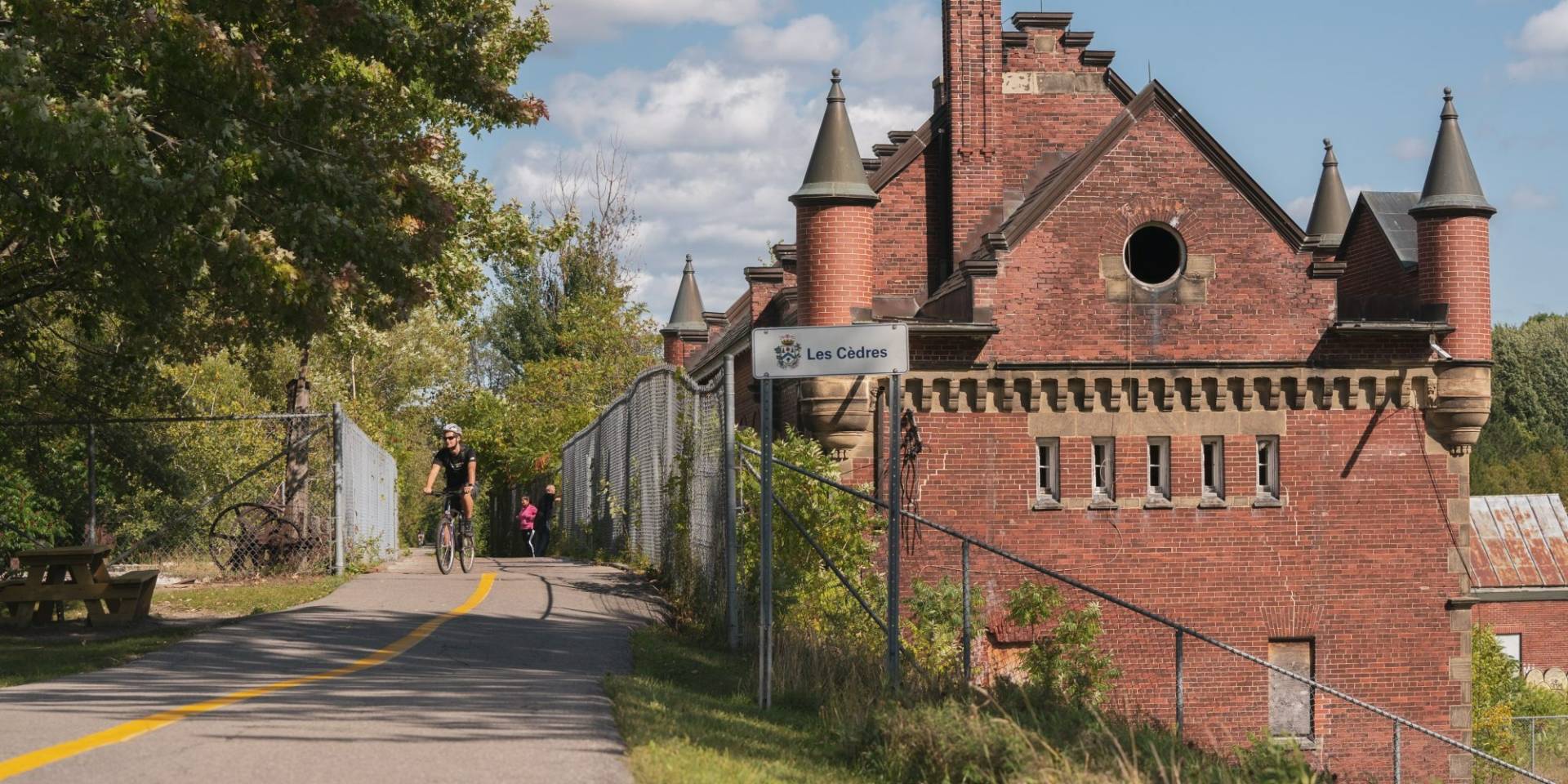 Les Yorkies ne savent pas quoi penser du nouveau chien