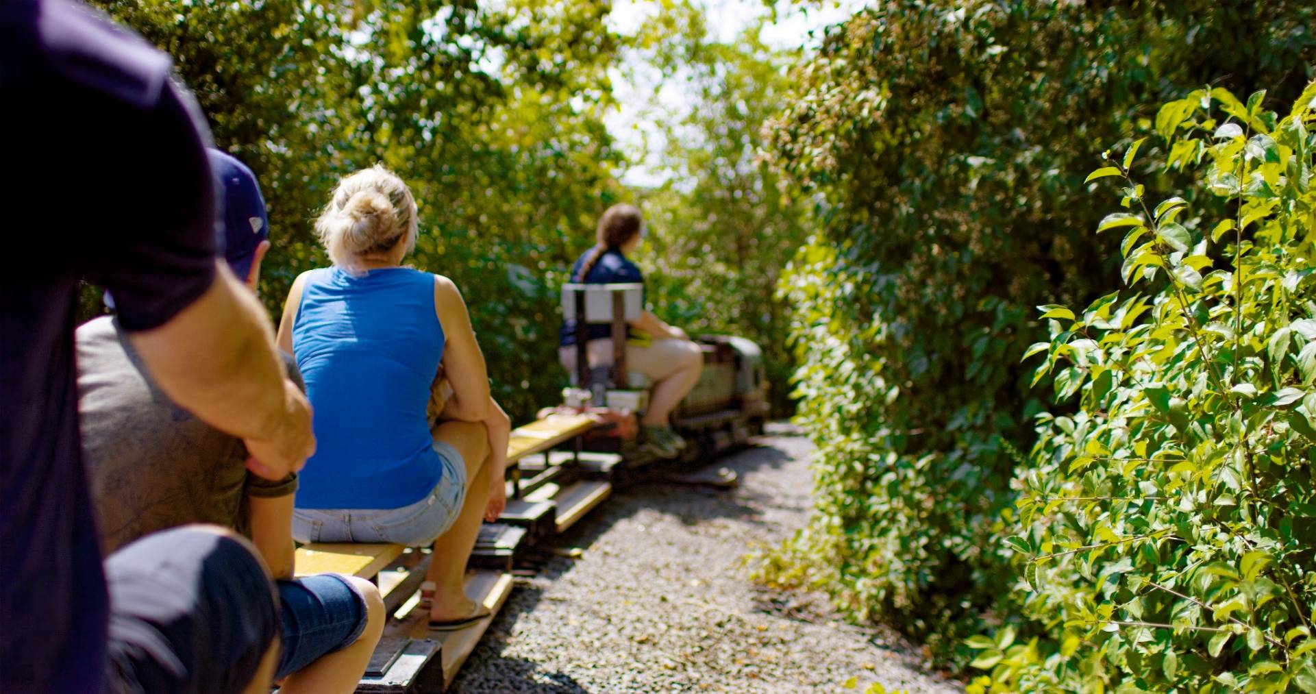 Image illustrant l'article