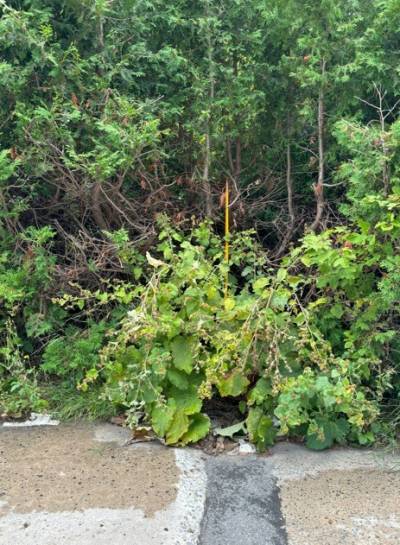 Trucs pratiques pour votre ménage du printemps