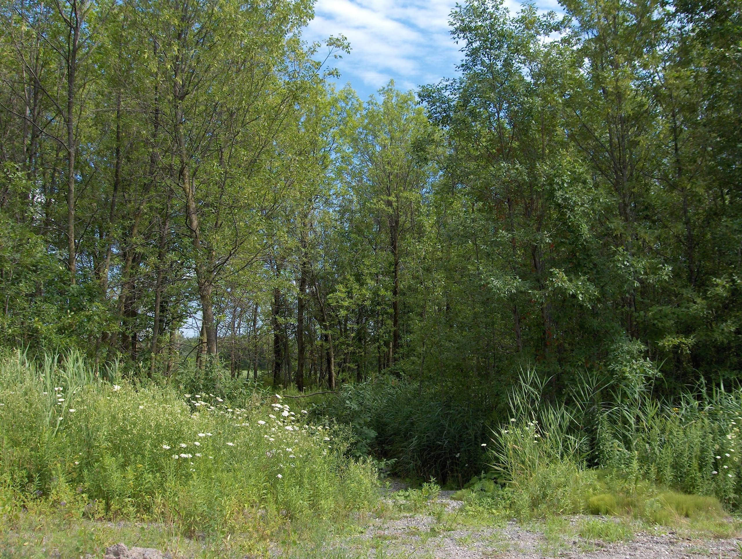 Un homme promène le manteau d’un chien, mais pas le chien