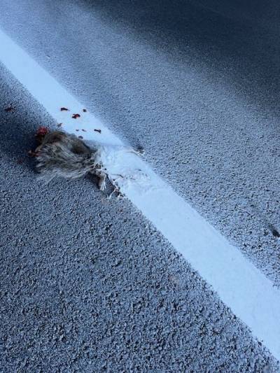 Les IA qui ont le plus d’hallucinations