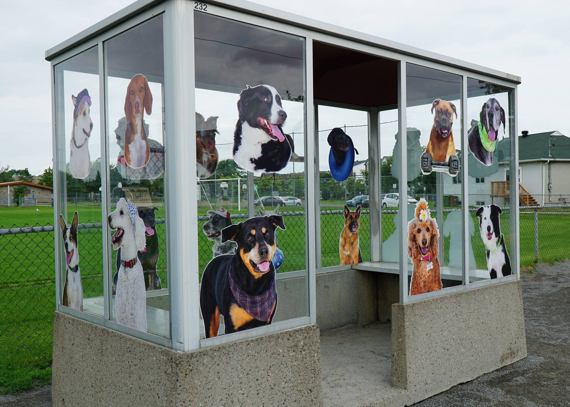 Comment désactiver les aperçus IA des recherches Google