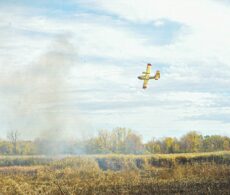 Feu de forêt à Léry : 6,2 hectares brûlés