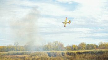 Feu de forêt à Léry : 6,2 hectares brûlés