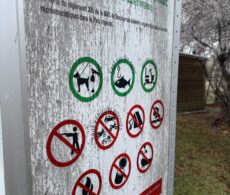 Des craintes reliées à la chasse illégale