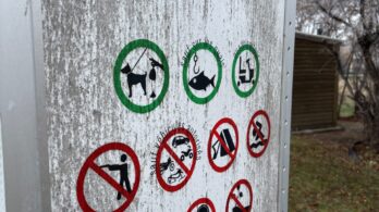 Des craintes reliées à la chasse illégale