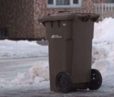 Retour de la collecte du bac brun aux deux semaines