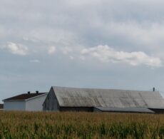 Communauté métropolitaine de Montréal : une voix pour les municipalités en milieu rural