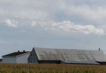 Communauté métropolitaine de Montréal : une voix pour les municipalités en milieu rural