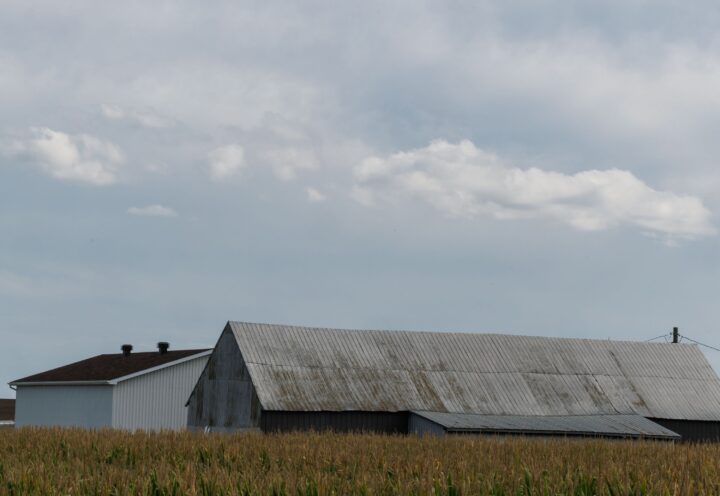Communauté métropolitaine de Montréal : une voix pour les municipalités en milieu rural