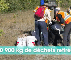 Une vidéo pour sensibiliser aux habitats de la rainette faux-grillon