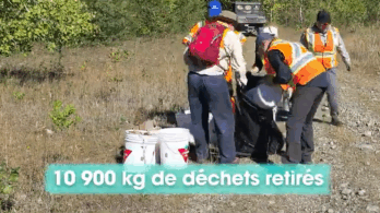 Une vidéo pour sensibiliser aux habitats de la rainette faux-grillon