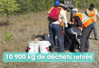 Une vidéo pour sensibiliser aux habitats de la rainette faux-grillon