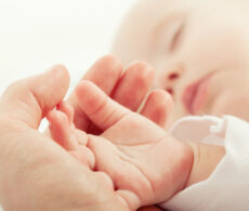 Assurance parentale : les cotisations à la baisse et les prestations inchangées