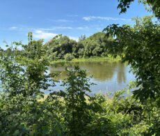 Protection de l’eau souterraine: un guide pour les municipalités