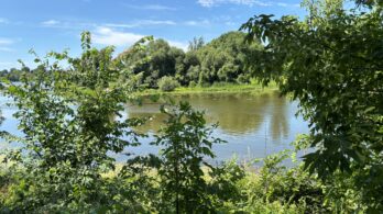 Protection de l’eau souterraine: un guide pour les municipalités