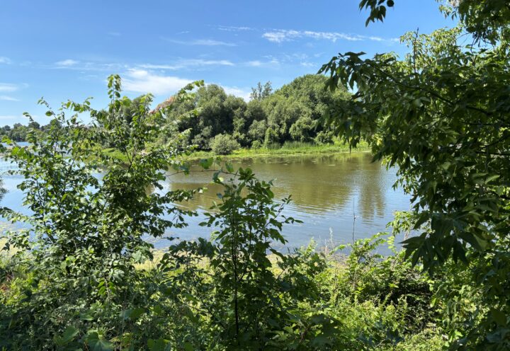 Opinion – L&rsquo;eau manque déjà : le Québec doit ouvrir les yeux