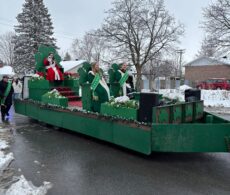 Un tapis blanc pour le défilé de la Saint-Patrick
