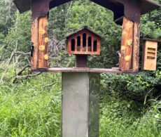 Héritage Saint-Bernard : fin du nourrissage des oiseaux
