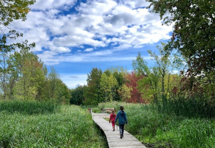 Châteauguay: étirer sa balade au refuge faunique Marguerite-D’Youville
