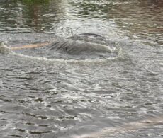 Pluie abondante : du renfort à Châteauguay