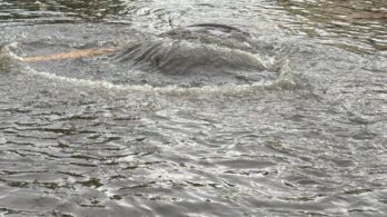 Pluie abondante : du renfort à Châteauguay