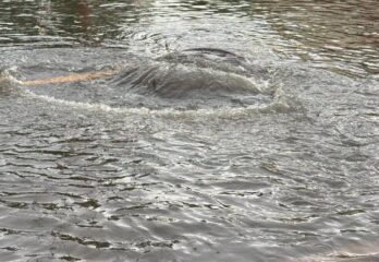 Pluie abondante : du renfort à Châteauguay