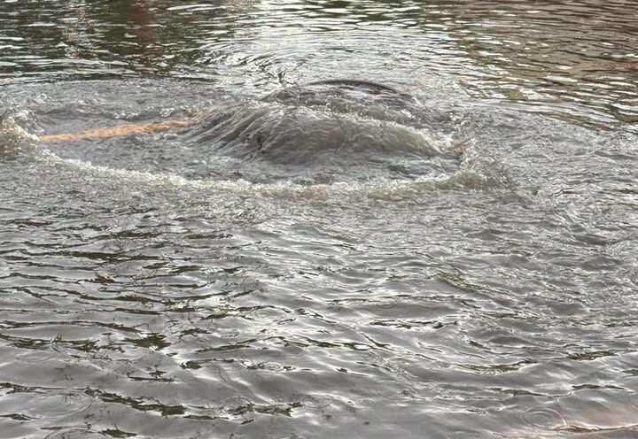 Nouvelles constructions : pas responsable des inondations, assure le maire