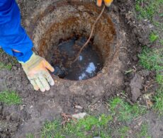 Inspection de drain par endoscopie pour détecter la prolifération d&rsquo;ocre ferreuse