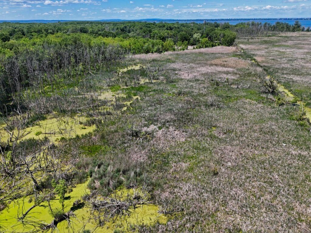 Corridor vert : 14 hectares de plus protégés dans Châteauguay-Nord