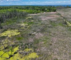 Corridor vert : 14 hectares de plus protégés dans Châteauguay-Nord