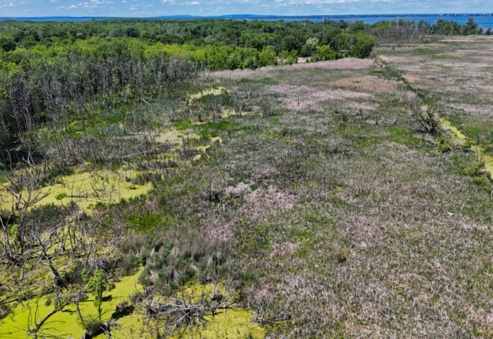 Corridor vert : 14 hectares de plus protégés dans Châteauguay-Nord
