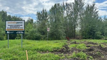Terre Faubert : la Cour refuse une demande d’arrêt des travaux