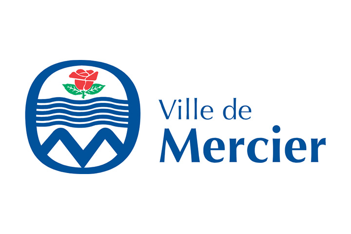 AVIS AUX SOUMISSIONNAIRES –  DEMANDE DE SOUMISSIONS PAR VOIE D’APPEL D’OFFRES PUBLIC