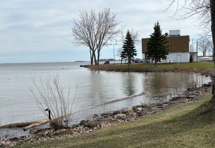 Rejets sanitaires dans le lac Saint-Louis : infrastructures et intempéries en cause, selon Beauharnois