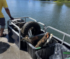 Rivière Châteauguay : 400 lb de déchets retirés… mais du papier hygiénique dans l’eau ?
